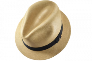 Adrian Panama Hat
